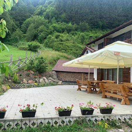 Pensiunea Valea Pinului Rau Sadului Exterior foto