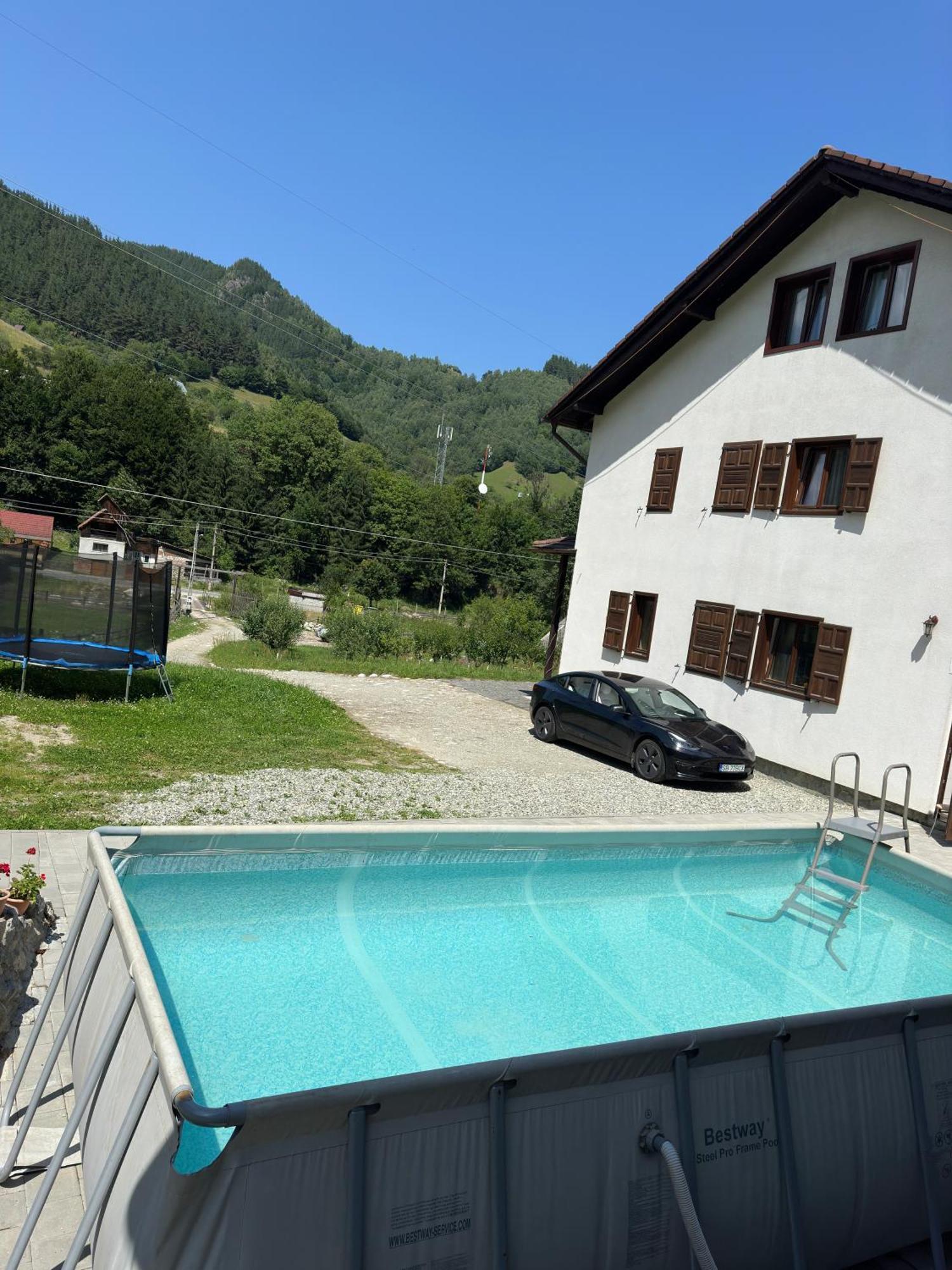 Pensiunea Valea Pinului Rau Sadului Exterior foto