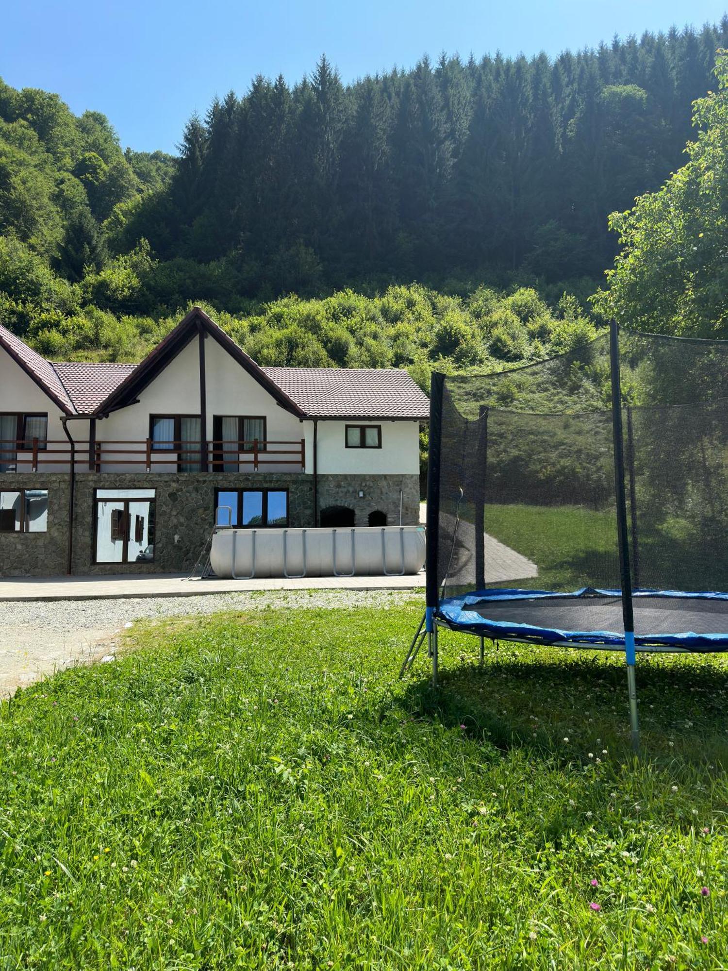 Pensiunea Valea Pinului Rau Sadului Exterior foto
