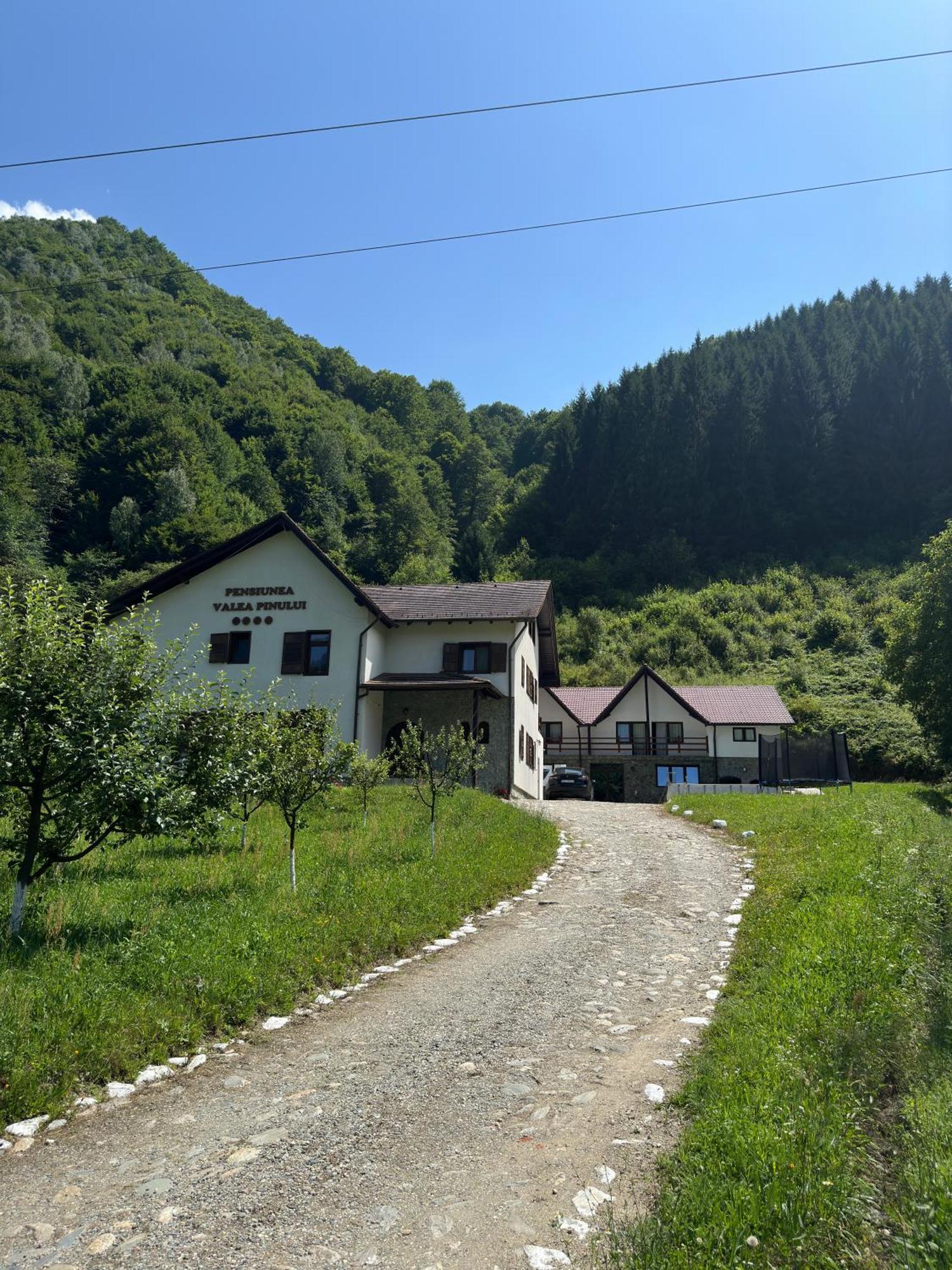 Pensiunea Valea Pinului Rau Sadului Exterior foto